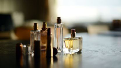 بهترین عطرهای زارا؛ ماندگار و اقتصادی